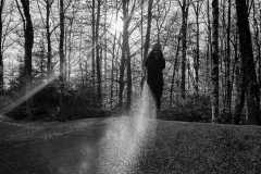 IMG_1264-2_s