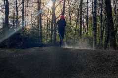 IMG_1266_s