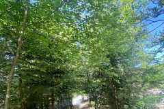 IMG_1892_s