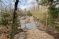 IMG_9701_s